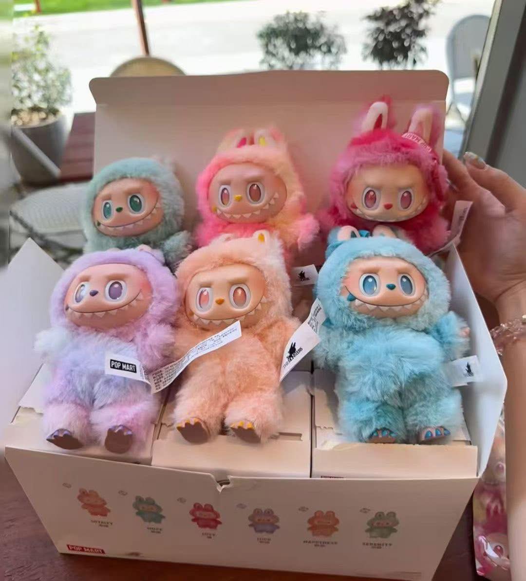 502583366_122110120388903581_6767344204212510178_n